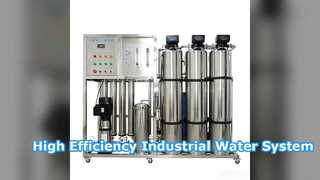 1000L Industrial Reverse Osmosis Water System